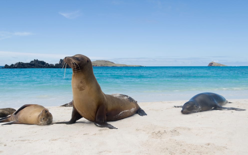 San Cristóbal Island, Galápagos - San-Crist-bal-Island-Gal-pagos_Ecuador.jpg